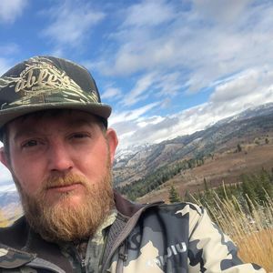 Meet your Posher, Roy